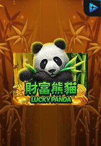 Lucky Panda